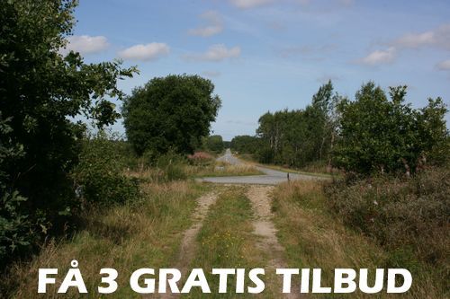 3 tilbud murer Herning: Rabatten kan overstige 25 pct 3 tilbud murer Herning: På 3murertilbud.nu kan vi bistå dig med at spare penge