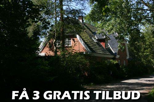 Murer Køge